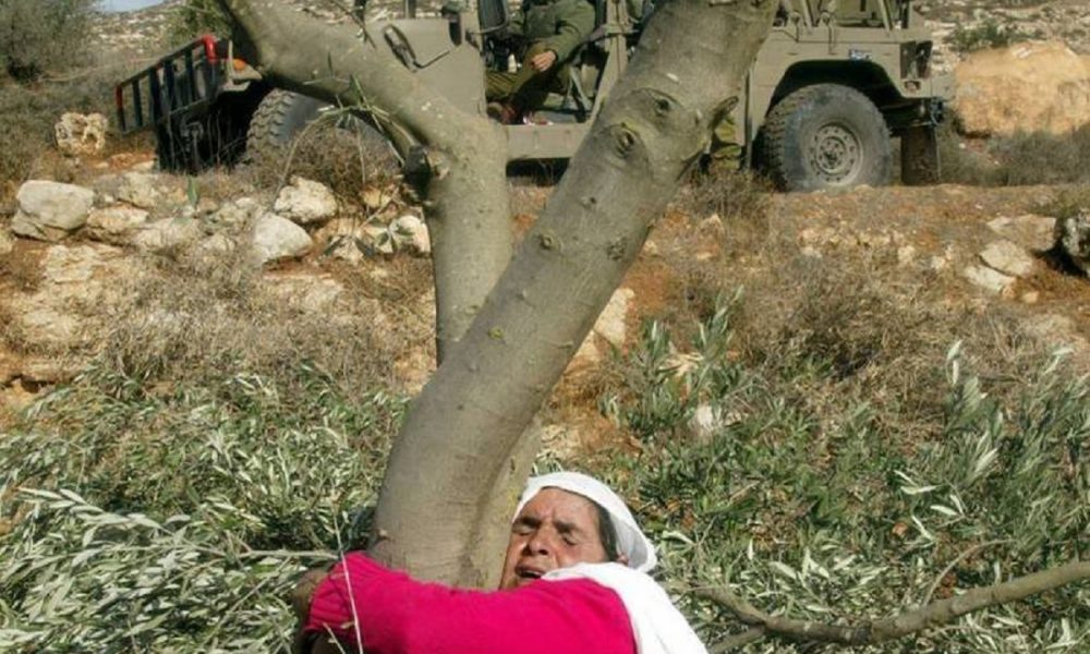 تجاهل القانون الدولي للانتهاكات الواقعة على المرأة الفلسطينية